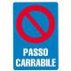 CARTELLO PVC PASSO CARRABILE 30X20