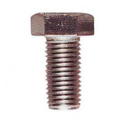 BULLONE TTDE UNI 5732 ZINCATO 12X180MM |%