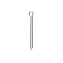 MAESTRI CHIODINI CON TESTA AX-TG 20MM GALVA 5000PZ - pezzi 5000 per scatola