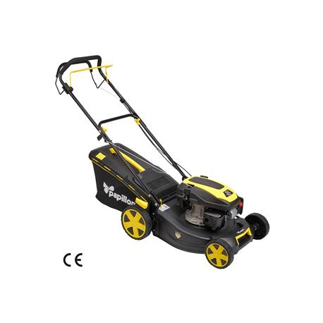 PAPILLON RASAERBA SEMOV PAPILL 46CM 144.3CC