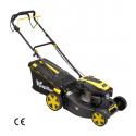 PAPILLON RASAERBA SEMOV PAPILL 46CM 144.3CC