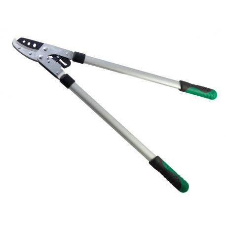 PAPILLON TRONCARAMI BATTENTE CRICCO M/ALLUM 76CM