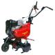 MOTOZAPPA EURO 5RM EVO B&S FRESA 50/75 205CC
