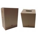 BOX CARTONE ANONIMO P/ENOLOGIA-OLEARIA 3L