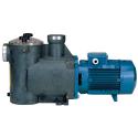 CALPEDA E/POMPA PERIF.CALPEDA CTM61A HP0.4M CTM61A