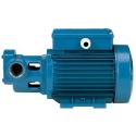 CALPEDA E/POMPA PERIF CALPEDA TM65E IE2 HP0.6 M TM65E