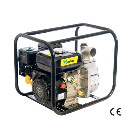 PAPILLON M/POMPA AUTOAD PAPILLON CC 163 HP 5.5-4T - 163 cc