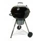 PAPILLON CIMINIERA ACCENS X BARBECUE D19X 30H