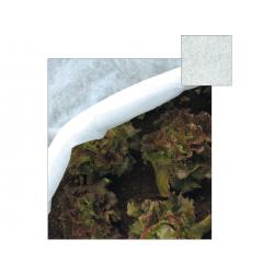 PAPILLON TELO TNT PROTEZIONE TERMICA MT.2.4X10