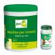 MASTICE X INNESTI/FERITE/POTATURE 500GR