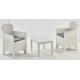 SALOTTINO SIMILRATTAN AKITA 2POLTR+TAV BIA