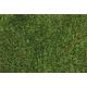 PAPILLON PRATO SINTETICO SIMILERBA POLO 52MM 2X10MT