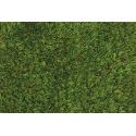 PAPILLON PRATO SINTETICO SIMILERBA POLO 52MM 2X10MT