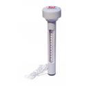 BESTWAY TERMOMETRO ABS PER PISCINE UNIVERSALE 58072