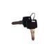 MAURER CHIAVE GREZZA X CASS STAMP-SIGNAL MAURER - per cassette postali stamp e signal