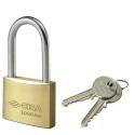LOCKING LINE CISA 21610.50.0 LUCC RETTANG LOCKING 21610.50.0