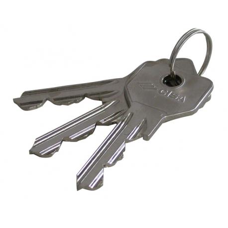 CISA CISA 01070.10.1 CHIAVE GREZZA STD C2000 CS118 - profilo destro - CS119