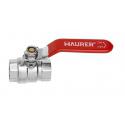 MAURER VALVOLA SFERA PASS.TOTALE FF 1/2