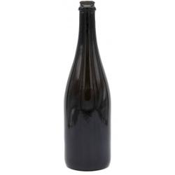 BOTTIGLIA CHAMPAGNE VERDE 600GR 750ML ===