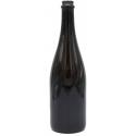BOTTIGLIA CHAMPAGNE VERDE 600GR 750ML ===