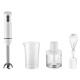 MAURER FRULLATORE IMMERSIONE 3IN1 C/ACCES 300W