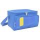 PAPILLON BORSA TERMICA AZZURRO-GRIGIO 5L