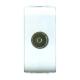 PRESA COASS.TV FEMMINA BIA MYLIFE ECL40481WH