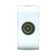 PRESA COASS.TV MASCHIO MYLIFE ECL40481MWH
