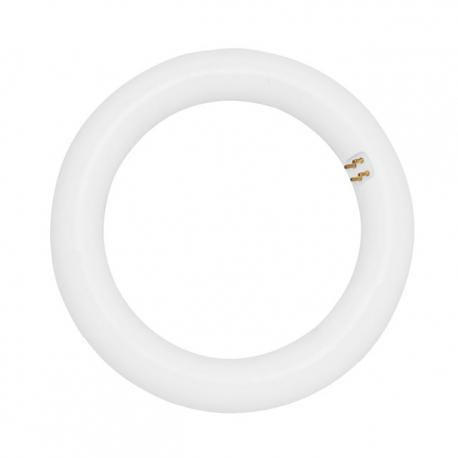 CIRCOLINA LED T9 DURALAMP 4000K 11W - 4000K - 1100 lumen