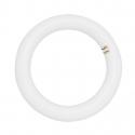 CIRCOLINA LED T9 DURALAMP 4000K 11W - 4000K - 1100 lumen
