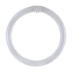 CIRCOLINA TRIFOSFORO T9 DURALAMP 4000K 40W - 4000K