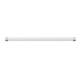 TUBO LED VETRO 600MM 6400K G13 1090L 10W - 1090 lumen - 6400K