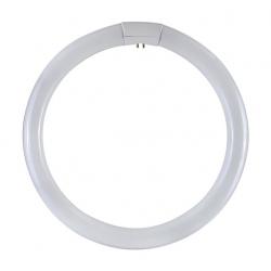 CIRCOLINA TRIFOSFORO T9 DURALAMP 6500K 32W - 6500K