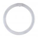 CIRCOLINA TRIFOSFORO T9 DURALAMP 6500K 32W - 6500K