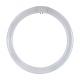 CIRCOLINA TRIFOSFORO T9 DURALAMP 6500K 22W - 6500K