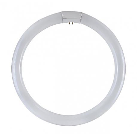 CIRCOLINA TRIFOSFORO T9 DURALAMP 6500K 40W - 6500K