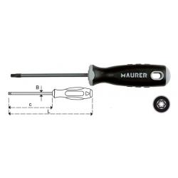 MAURER PLUS CACCIAVITE MPLUS TORX C/FORO T 15X 80