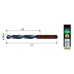 ALPEN PUNTA ALPEN HSS-SPRINT 631 MM 7.00