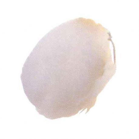 ALBERINO FISSAGGIO MM 22.2X8 337.00 X37015